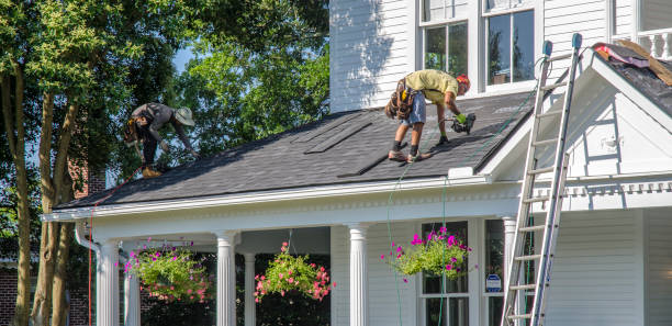 Best Roof Leak Repair  in Mount Vernon, VA